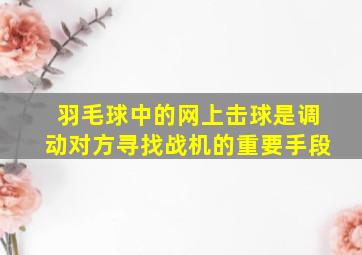 羽毛球中的网上击球是调动对方寻找战机的重要手段