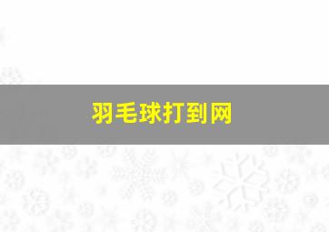 羽毛球打到网