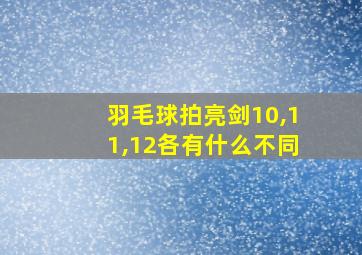 羽毛球拍亮剑10,11,12各有什么不同