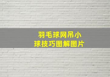 羽毛球网吊小球技巧图解图片