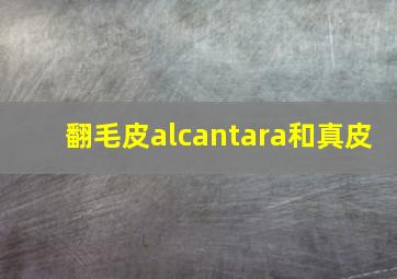 翻毛皮alcantara和真皮