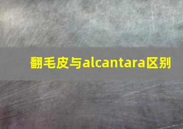 翻毛皮与alcantara区别