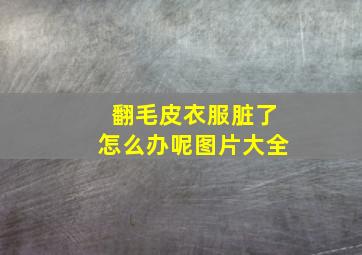 翻毛皮衣服脏了怎么办呢图片大全