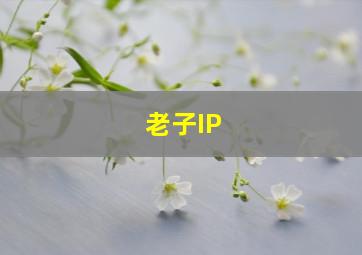 老子IP