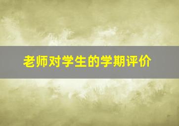 老师对学生的学期评价