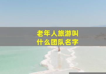 老年人旅游叫什么团队名字