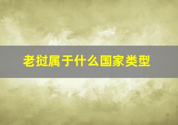 老挝属于什么国家类型