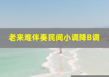 老来难伴奏民间小调降B调