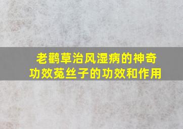 老鹳草治风湿病的神奇功效菟丝子的功效和作用