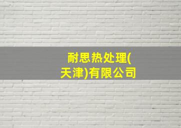 耐思热处理(天津)有限公司