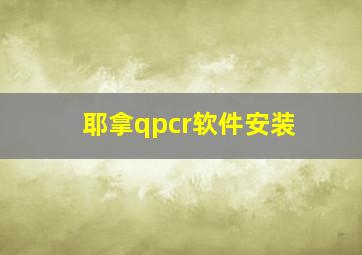 耶拿qpcr软件安装