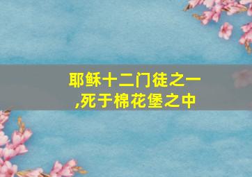 耶稣十二门徒之一,死于棉花堡之中