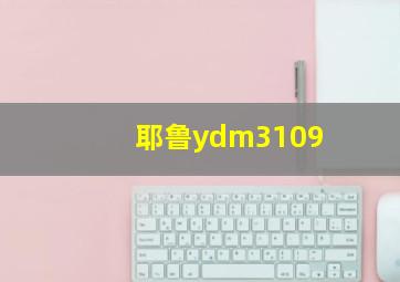 耶鲁ydm3109