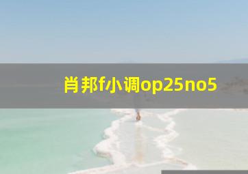 肖邦f小调op25no5