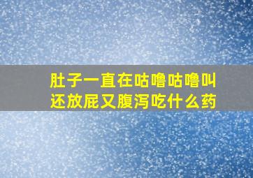 肚子一直在咕噜咕噜叫还放屁又腹泻吃什么药