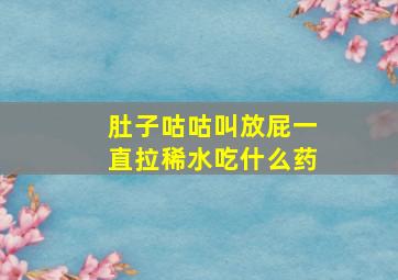 肚子咕咕叫放屁一直拉稀水吃什么药