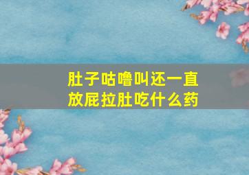 肚子咕噜叫还一直放屁拉肚吃什么药