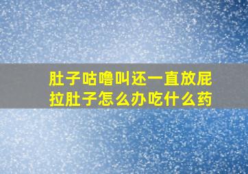 肚子咕噜叫还一直放屁拉肚子怎么办吃什么药