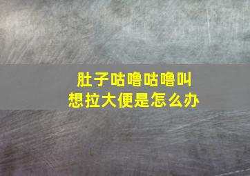 肚子咕噜咕噜叫想拉大便是怎么办