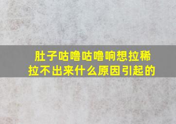 肚子咕噜咕噜响想拉稀拉不出来什么原因引起的