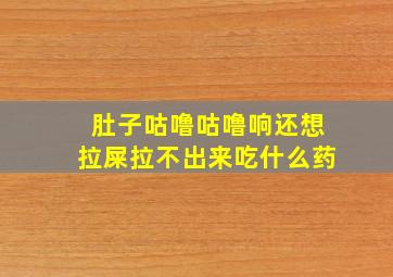 肚子咕噜咕噜响还想拉屎拉不出来吃什么药