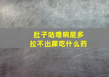 肚子咕噜响屁多拉不出屎吃什么药