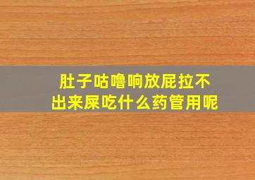 肚子咕噜响放屁拉不出来屎吃什么药管用呢