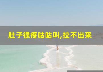 肚子很疼咕咕叫,拉不出来