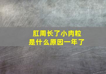 肛周长了小肉粒是什么原因一年了