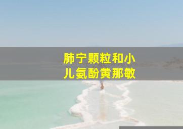 肺宁颗粒和小儿氨酚黄那敏