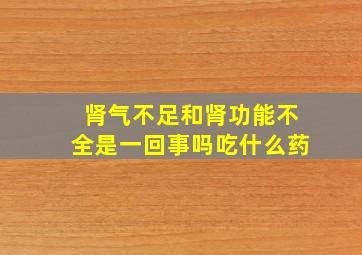 肾气不足和肾功能不全是一回事吗吃什么药