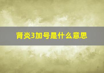 肾炎3加号是什么意思