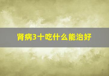 肾病3十吃什么能治好