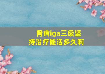 肾病iga三级坚持治疗能活多久啊