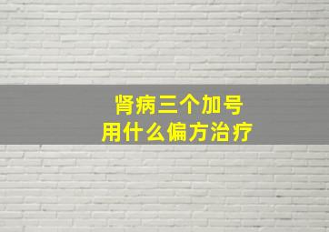 肾病三个加号用什么偏方治疗