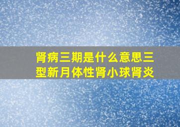 肾病三期是什么意思三型新月体性肾小球肾炎