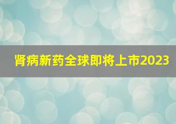 肾病新药全球即将上市2023