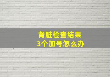 肾脏检查结果3个加号怎么办