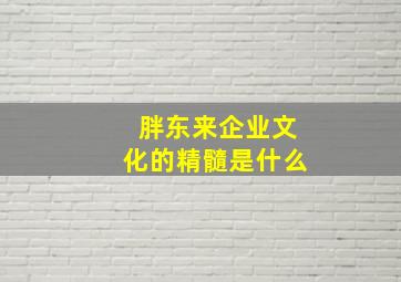 胖东来企业文化的精髓是什么