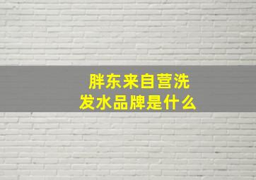 胖东来自营洗发水品牌是什么