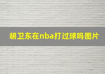 胡卫东在nba打过球吗图片