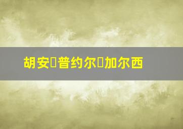 胡安・普约尔・加尔西