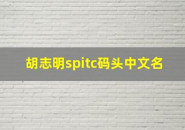 胡志明spitc码头中文名