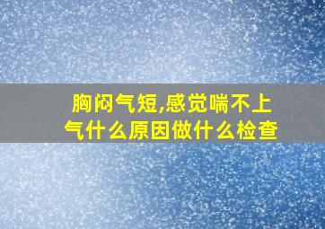 胸闷气短,感觉喘不上气什么原因做什么检查