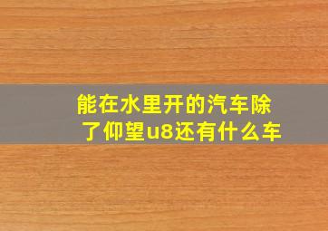 能在水里开的汽车除了仰望u8还有什么车