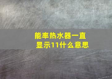 能率热水器一直显示11什么意思