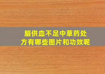 脑供血不足中草药处方有哪些图片和功效呢