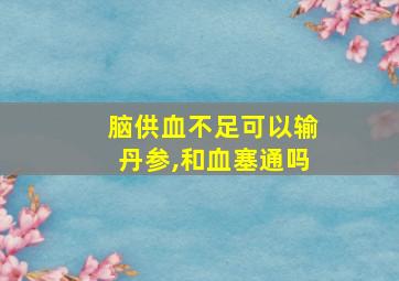 脑供血不足可以输丹参,和血塞通吗