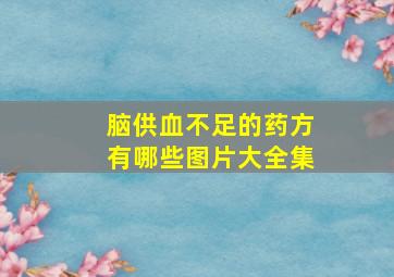 脑供血不足的药方有哪些图片大全集