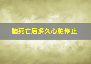 脑死亡后多久心脏停止